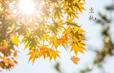 立秋養(yǎng)生：順應(yīng)時(shí)節(jié)，調(diào)養(yǎng)身心