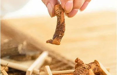 夏日三伏，教你如何科學(xué)養(yǎng)生，飲食指南讓你健康又消暑…